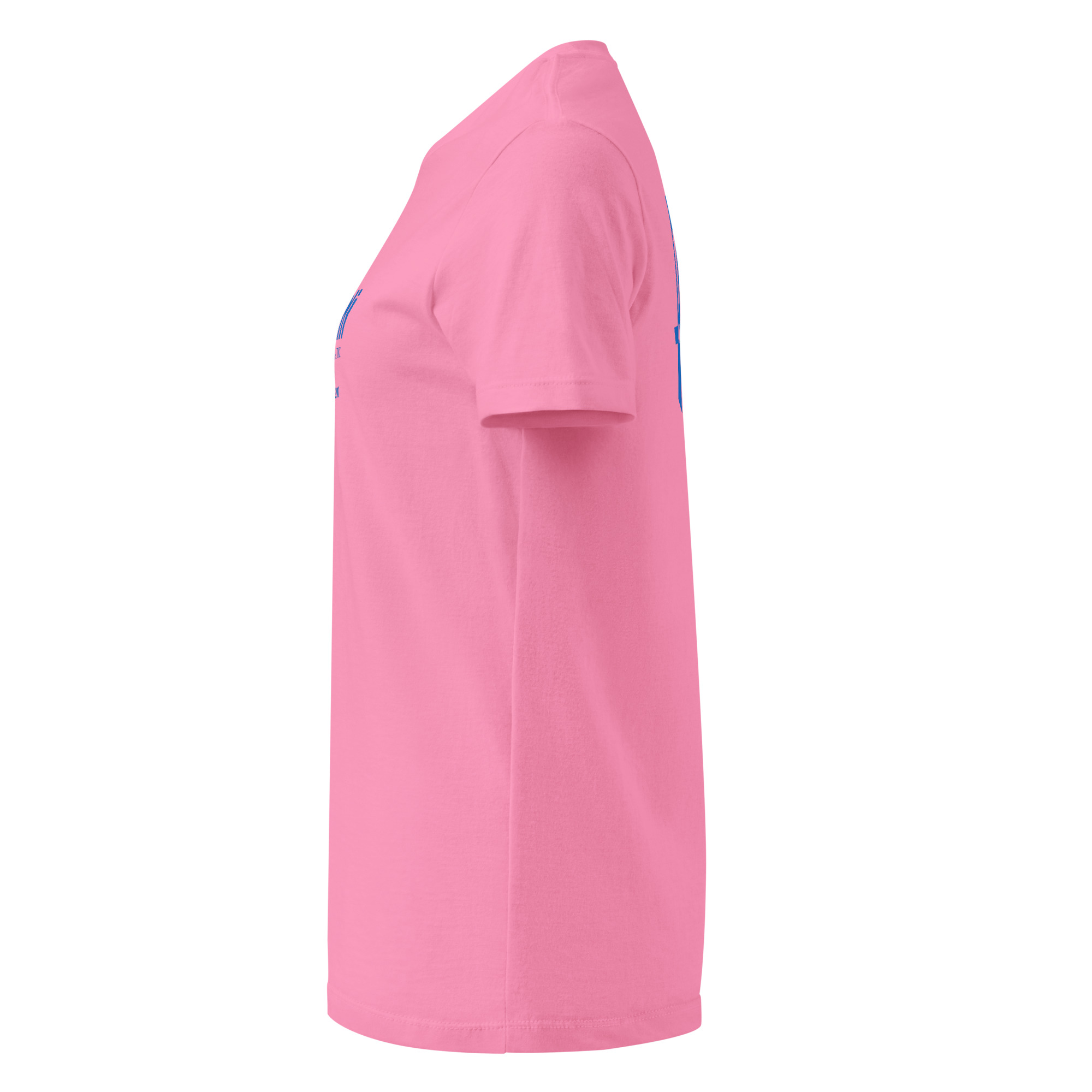 womens-basic-softstyle-t-shirt-azalea-left-6a6ba5177a3e6.jpg Fiorini Chiropractic Center - design idea 1 - Image 34