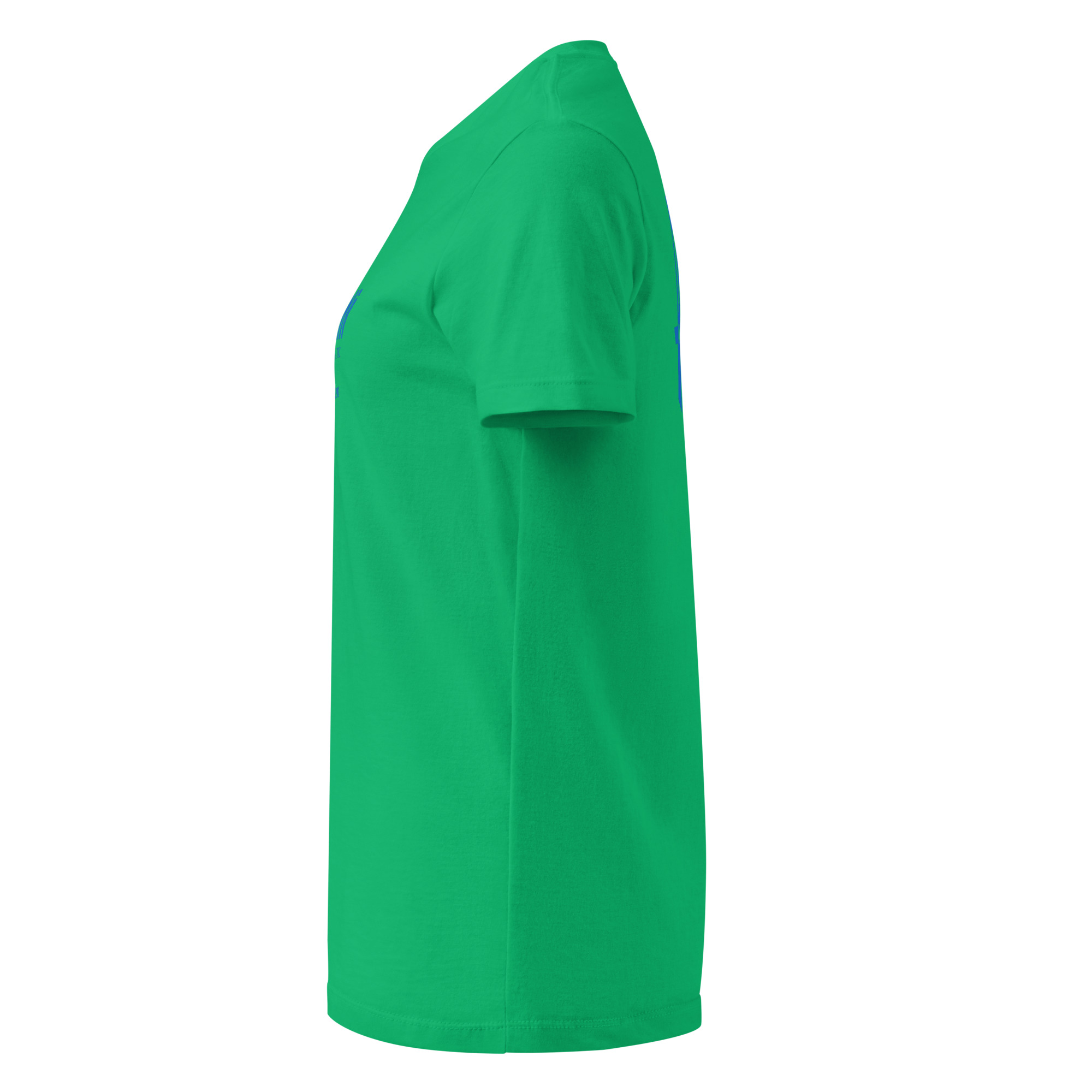 womens-basic-softstyle-t-shirt-irish-green-left-6a6ba51777df7.jpg Fiorini Chiropractic Center - design idea 1 - Image 30