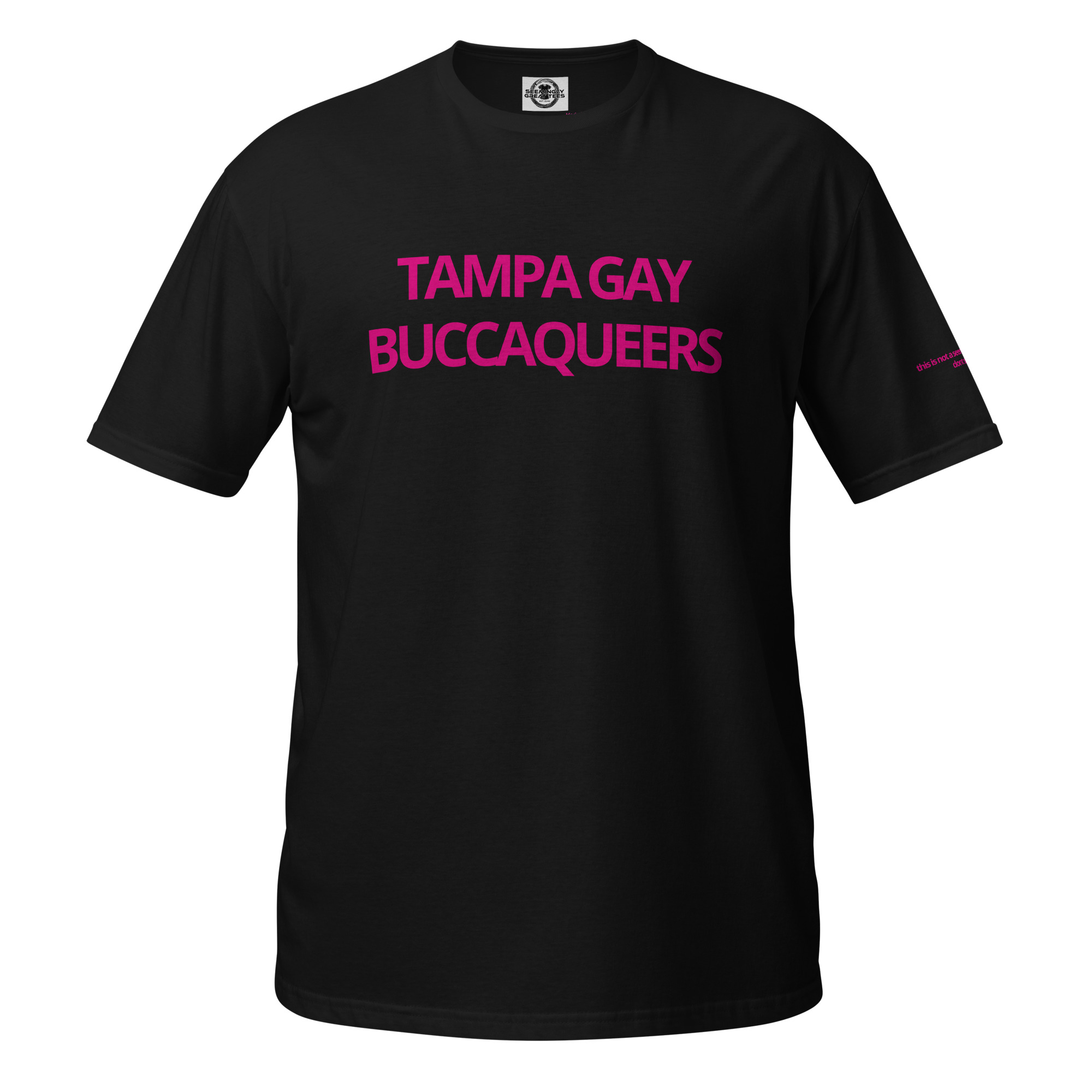 unisex-basic-softstyle-t-shirt-black-front-6a7476c80fb4e.jpg Tampa Gay Buccaqueers - Image 2