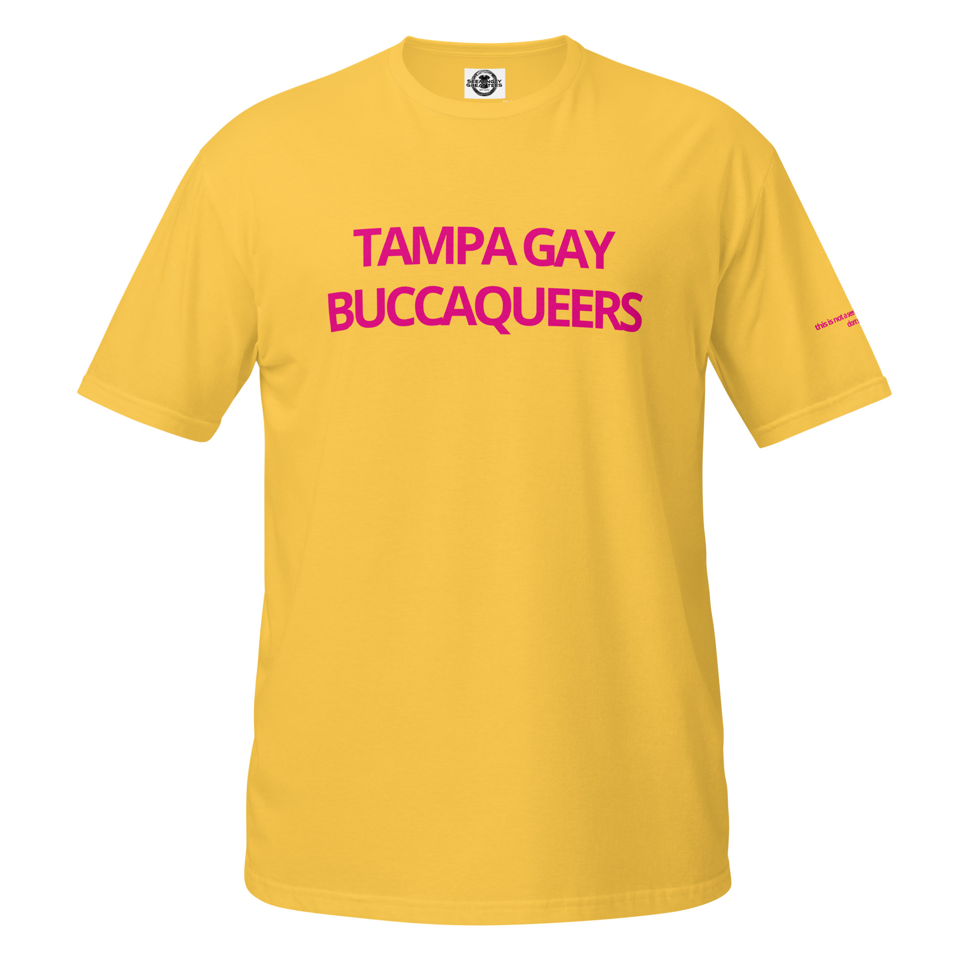 unisex-basic-softstyle-t-shirt-daisy-front-6a7476c81144d.jpg Tampa Gay Buccaqueers - Image 6